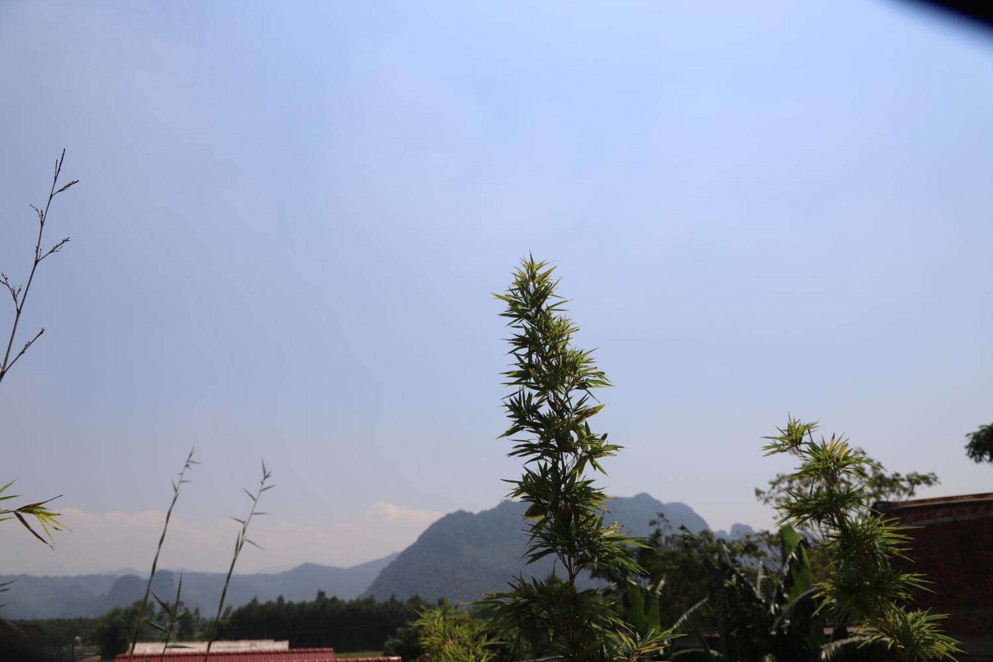 Phong Nha Friendly Home Екстер'єр фото